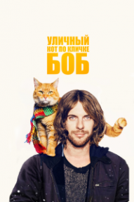 Уличный кот по кличке Боб